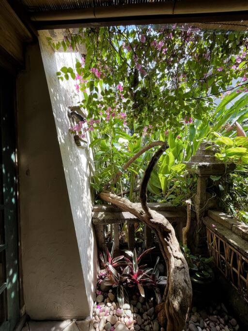 Beautiful Bali Culture At Centre Villa Sanur (Bali)
